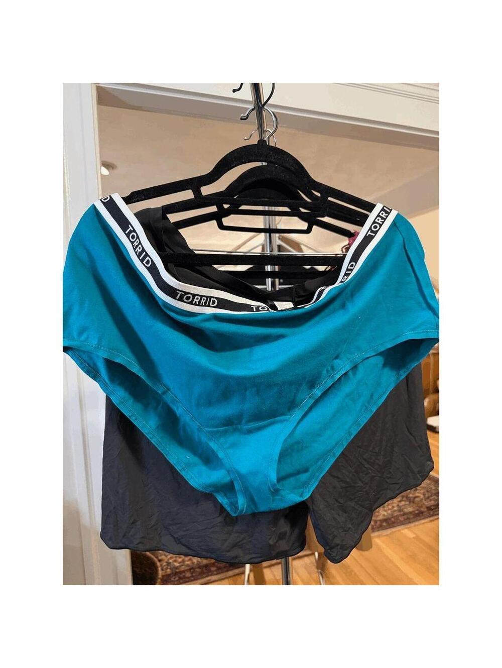 Torrid Teal Panty Plus Size 4